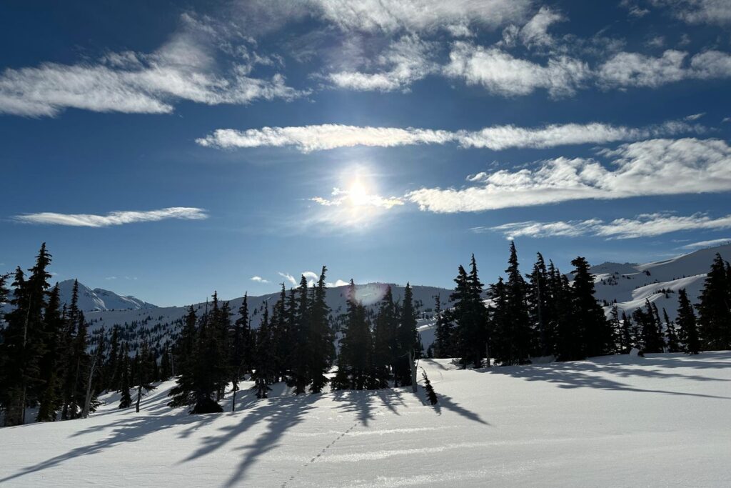 Winterlandschaft im sanften Licht, symbolisch für die leise Präsenz und Zeichen der geistigen Welt.
