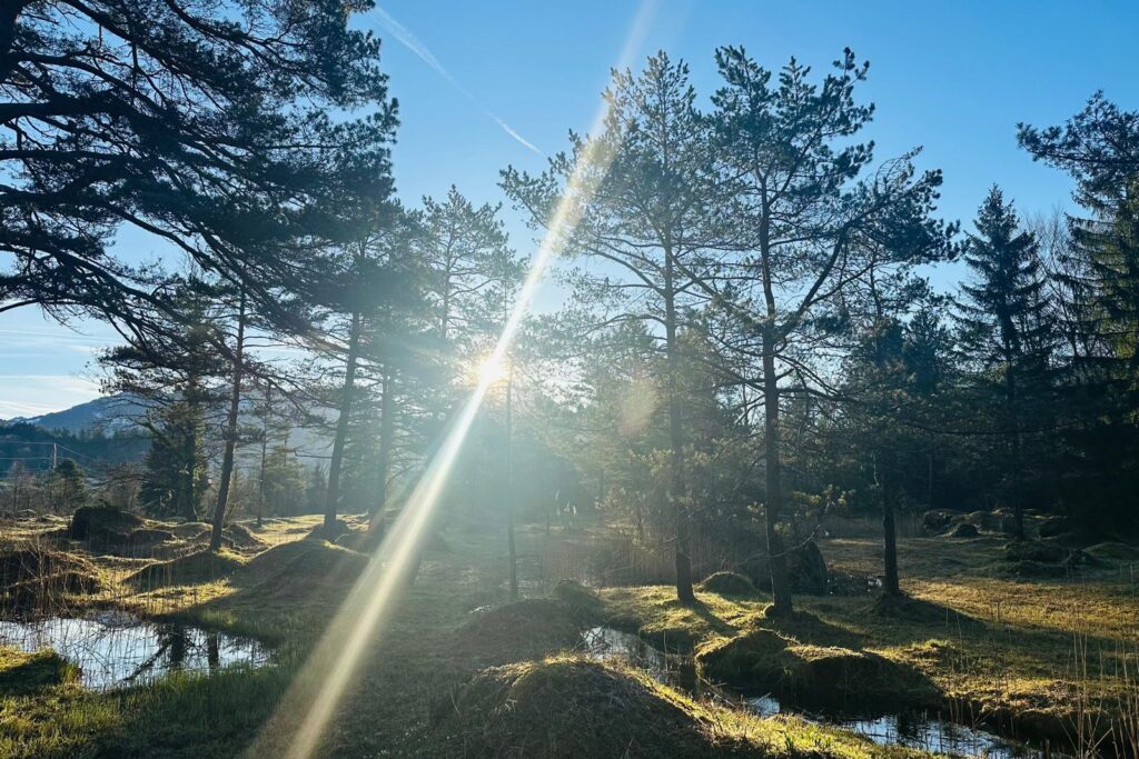 Sanfte Verbindung von Körper, Geist und Seele in harmonischer Ruhe